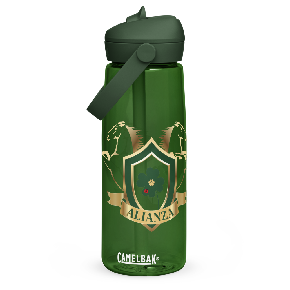 Alianza Flip Straw Water Bottle By Camelbak Alianza