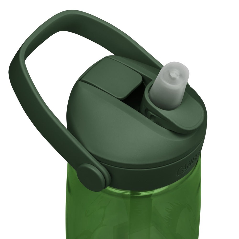 Alianza Flip Straw Water Bottle By Camelbak Alianza