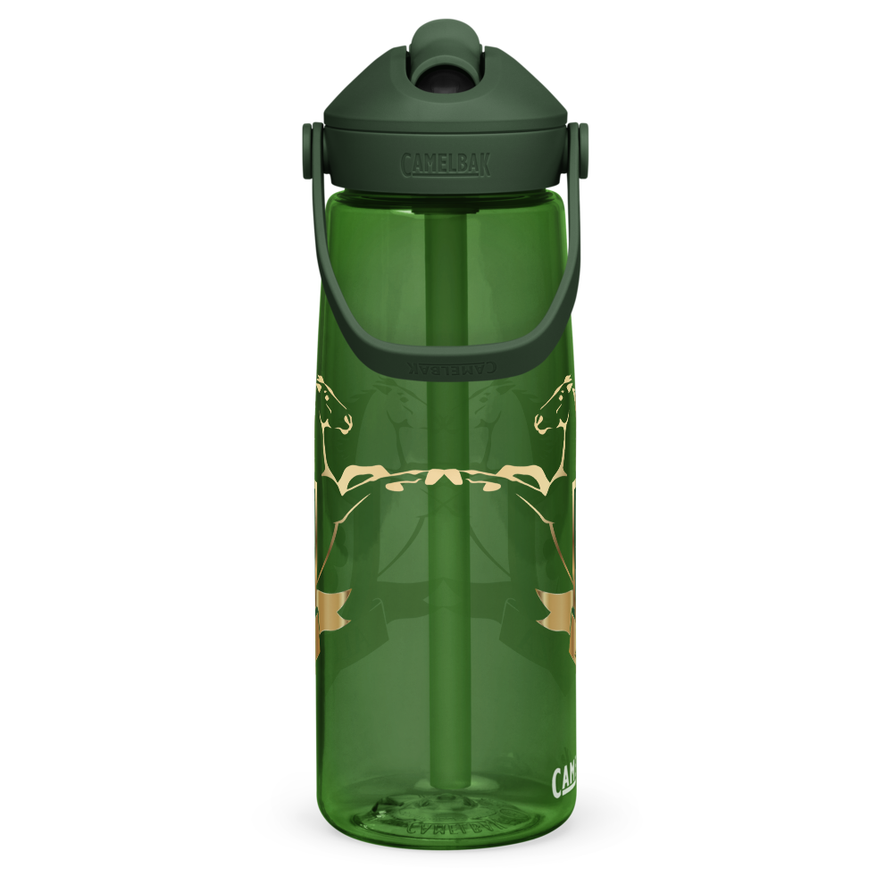 Alianza Flip Straw Water Bottle By Camelbak Alianza