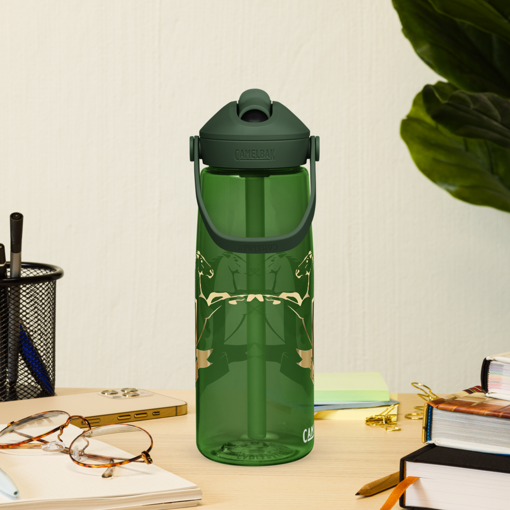 Alianza Flip Straw Water Bottle By Camelbak Alianza