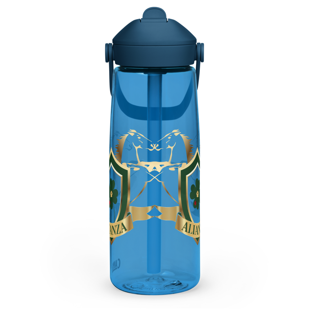 Alianza Flip Straw Water Bottle By Camelbak Alianza