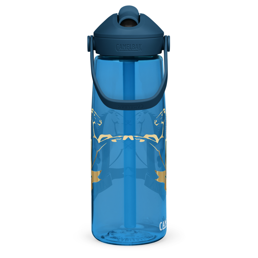 Alianza Flip Straw Water Bottle By Camelbak Alianza