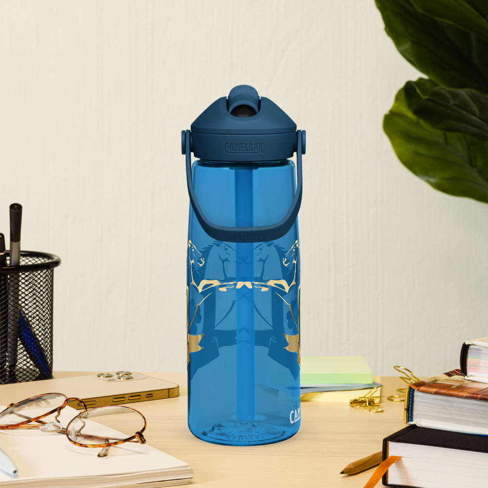Alianza Flip Straw Water Bottle By Camelbak Alianza