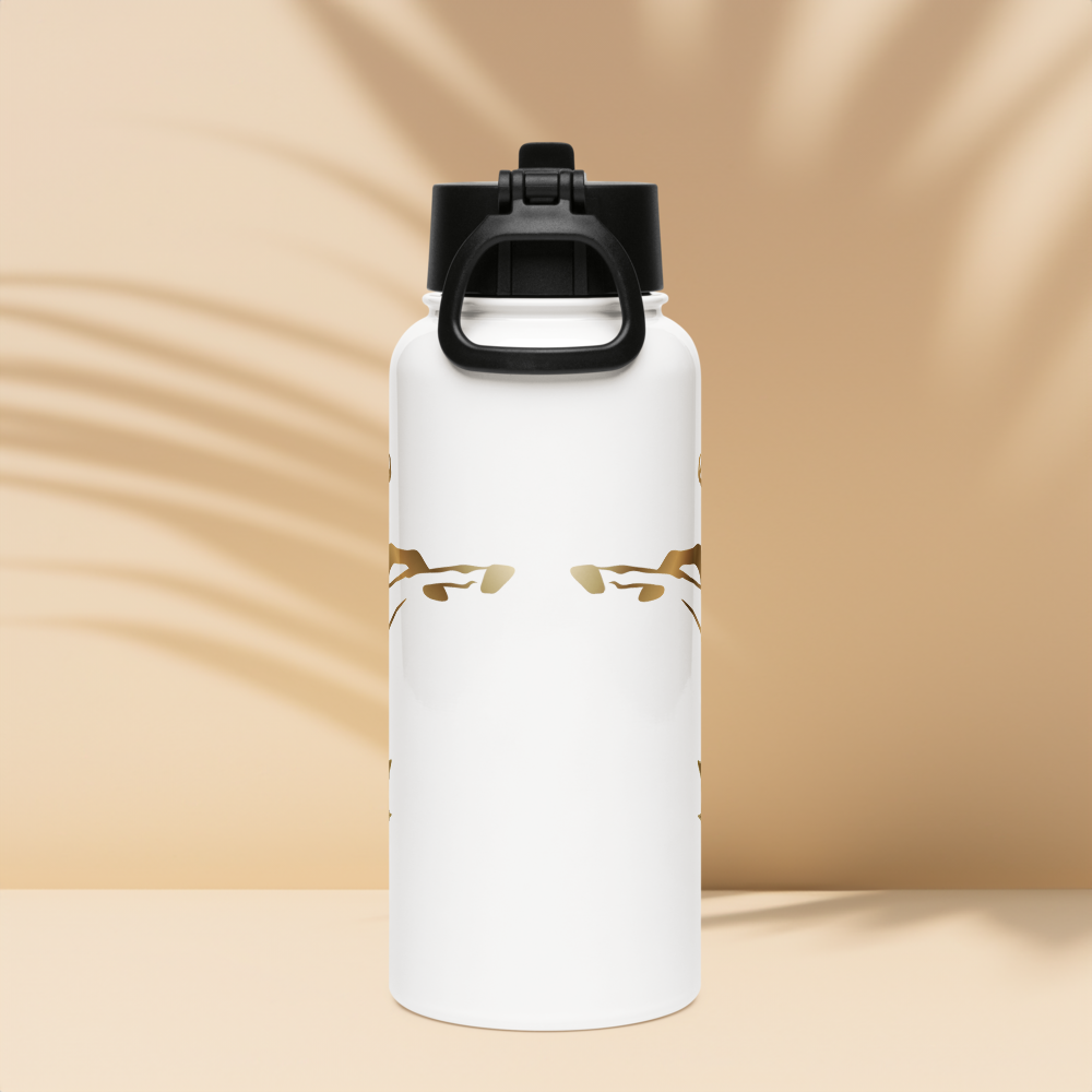 Alianza Stainless steel water bottle with a straw lid Alianza