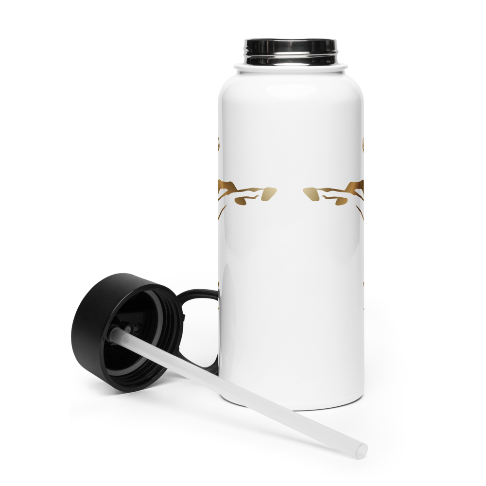 Alianza Stainless steel water bottle with a straw lid Alianza