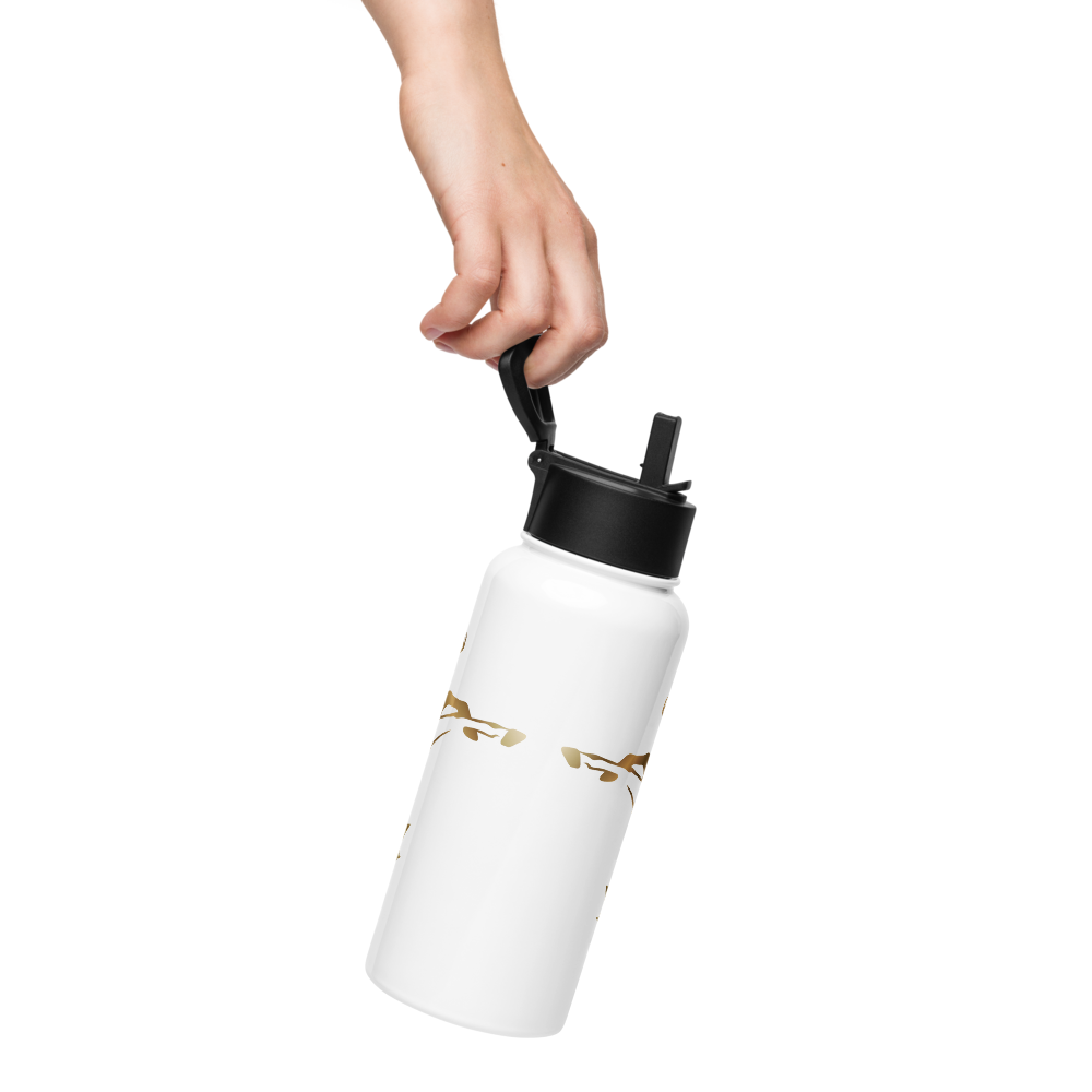 Alianza Stainless steel water bottle with a straw lid Alianza