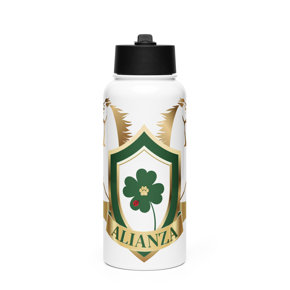 Alianza Stainless steel water bottle with a straw lid Alianza