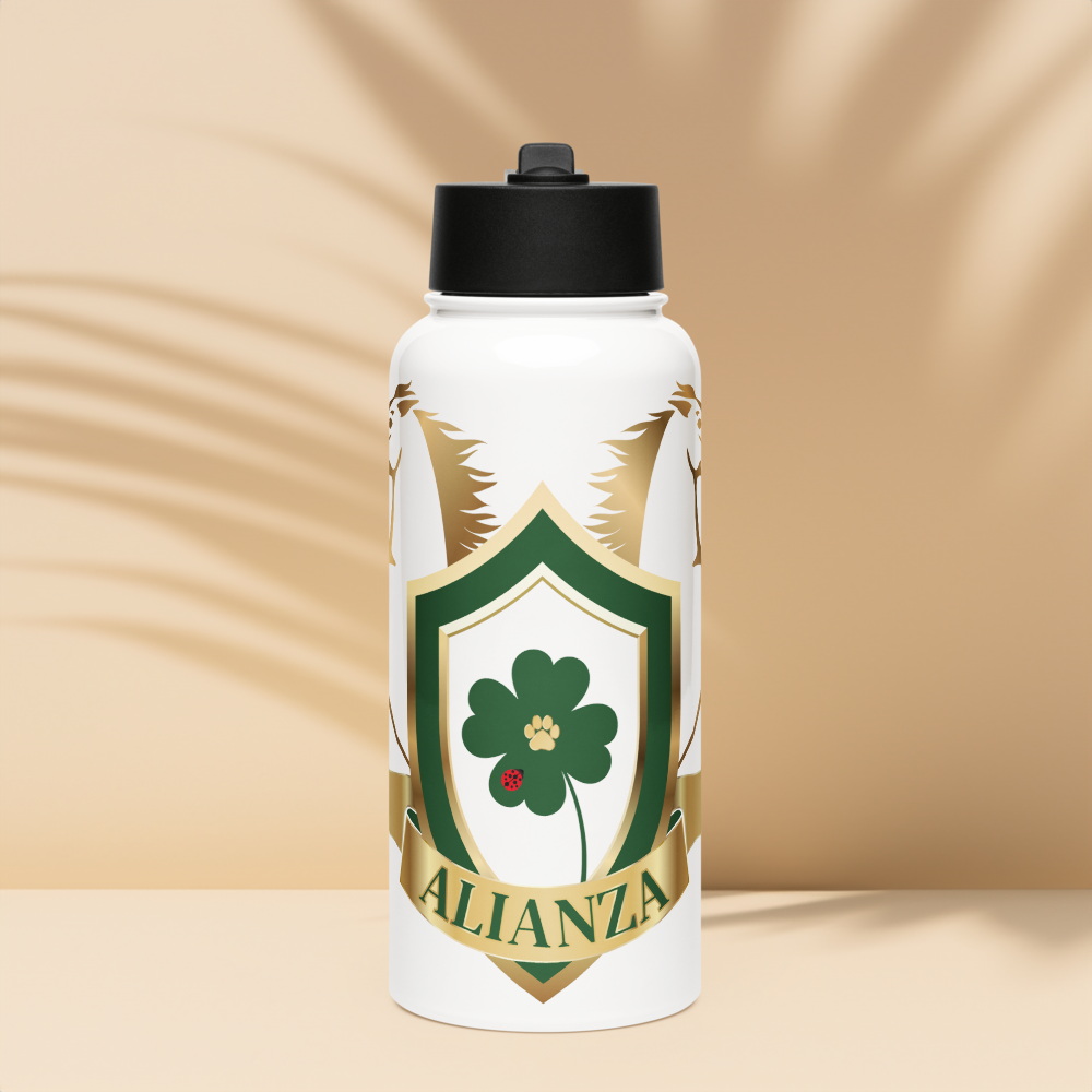 Alianza Stainless steel water bottle with a straw lid Alianza