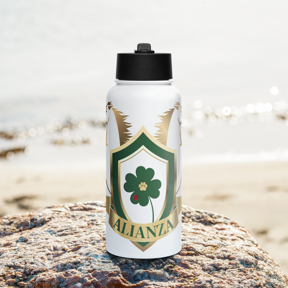 Alianza Stainless steel water bottle with a straw lid Alianza