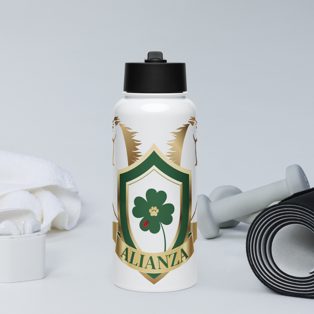 Alianza Stainless steel water bottle with a straw lid Alianza