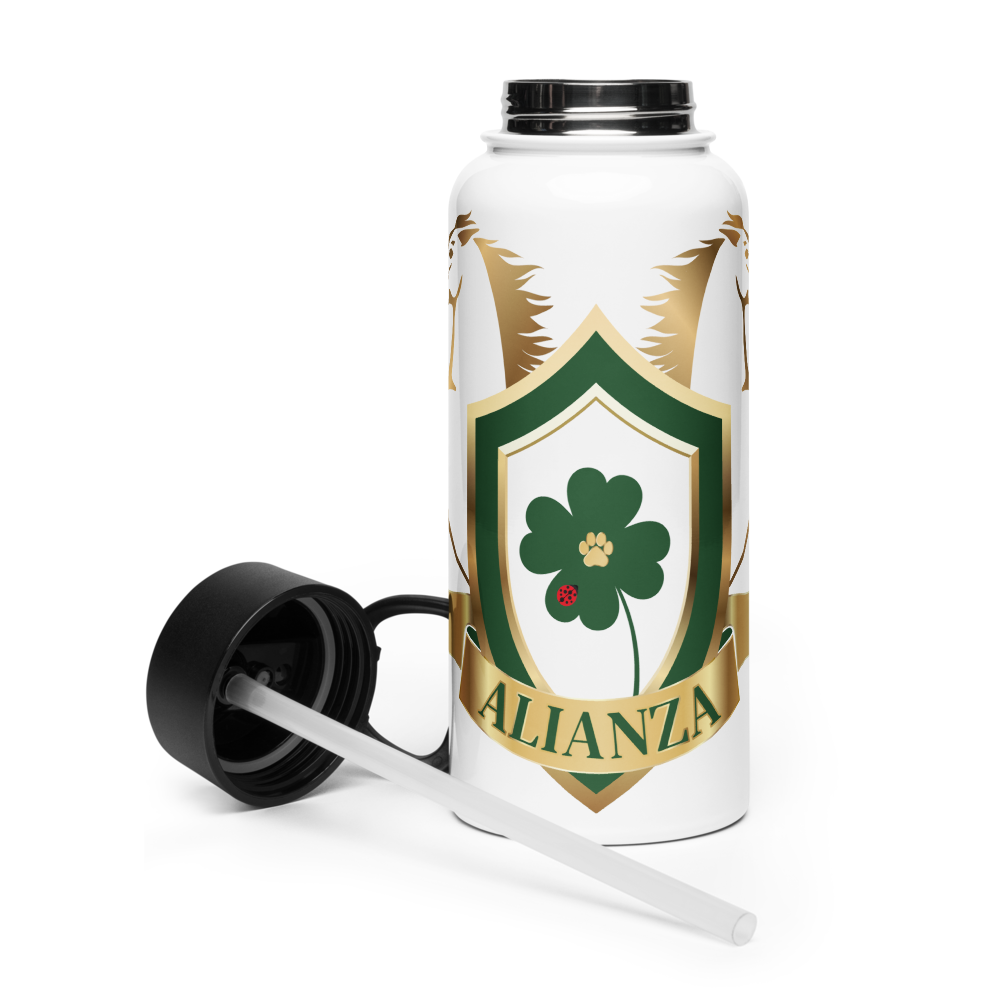 Alianza Stainless steel water bottle with a straw lid Alianza