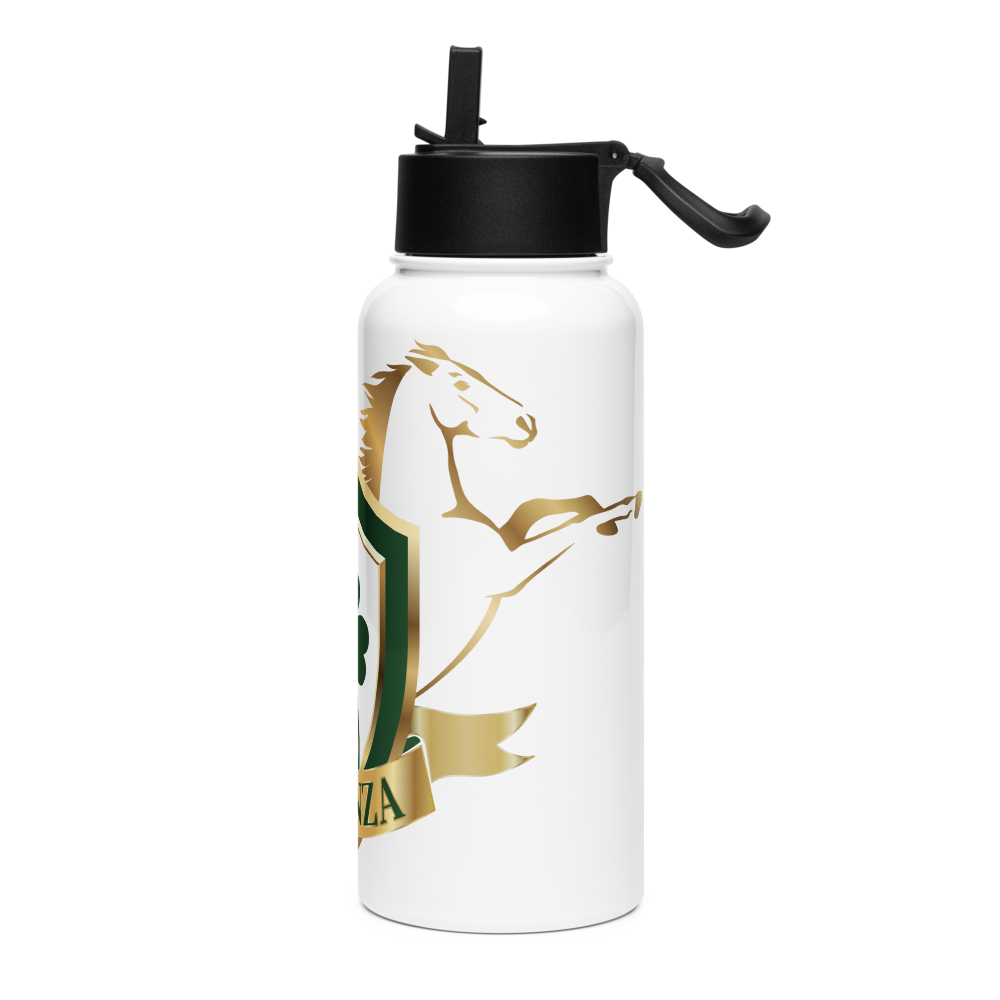 Alianza Stainless steel water bottle with a straw lid Alianza