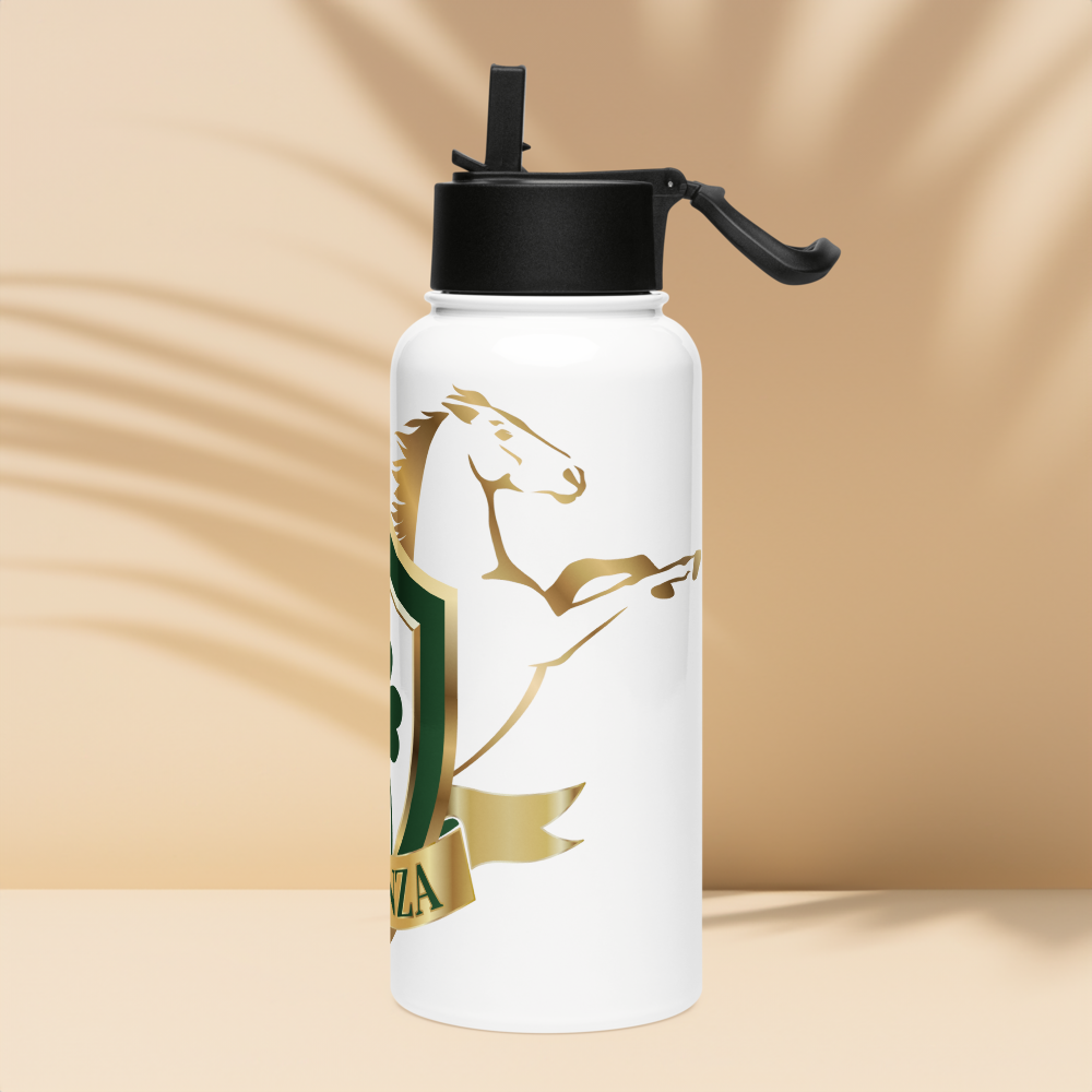 Alianza Stainless steel water bottle with a straw lid Alianza