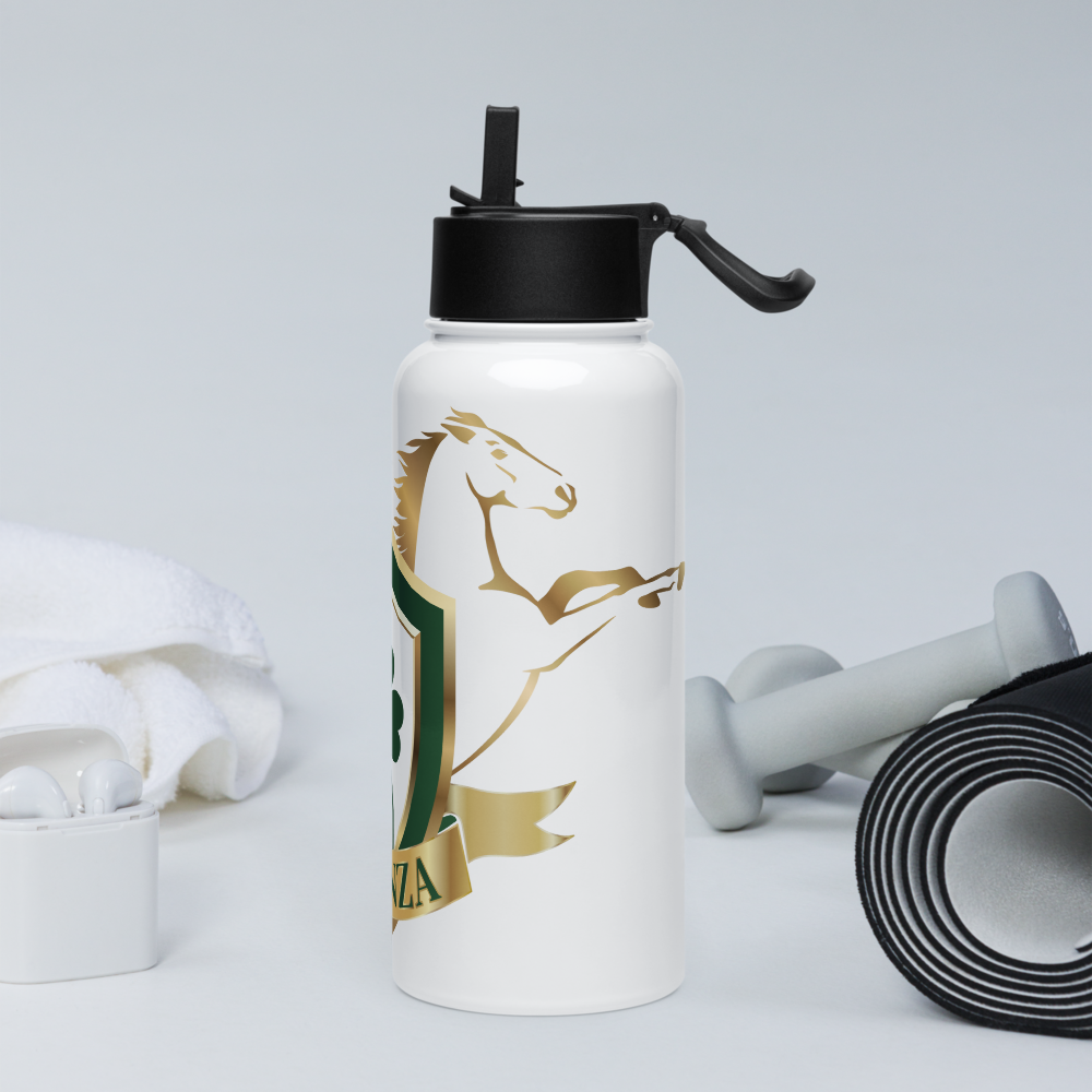 Alianza Stainless steel water bottle with a straw lid Alianza