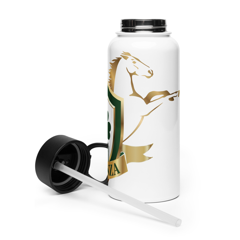 Alianza Stainless steel water bottle with a straw lid Alianza
