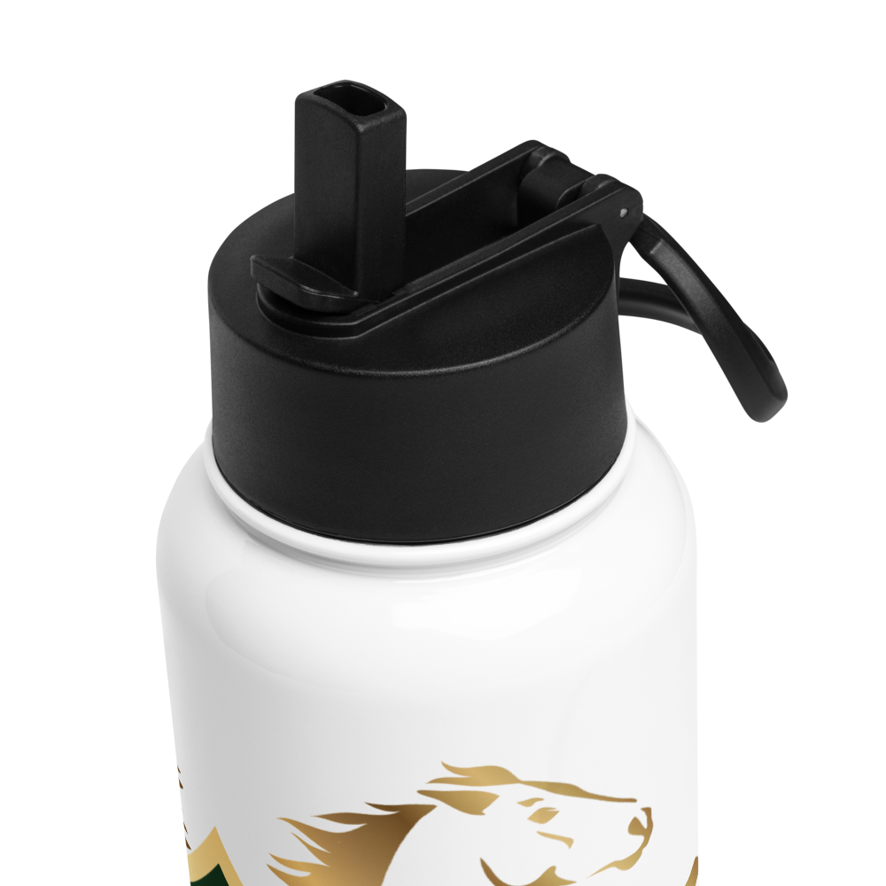 Alianza Stainless steel water bottle with a straw lid Alianza