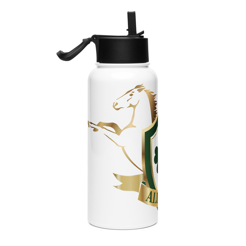 Alianza Stainless steel water bottle with a straw lid Alianza