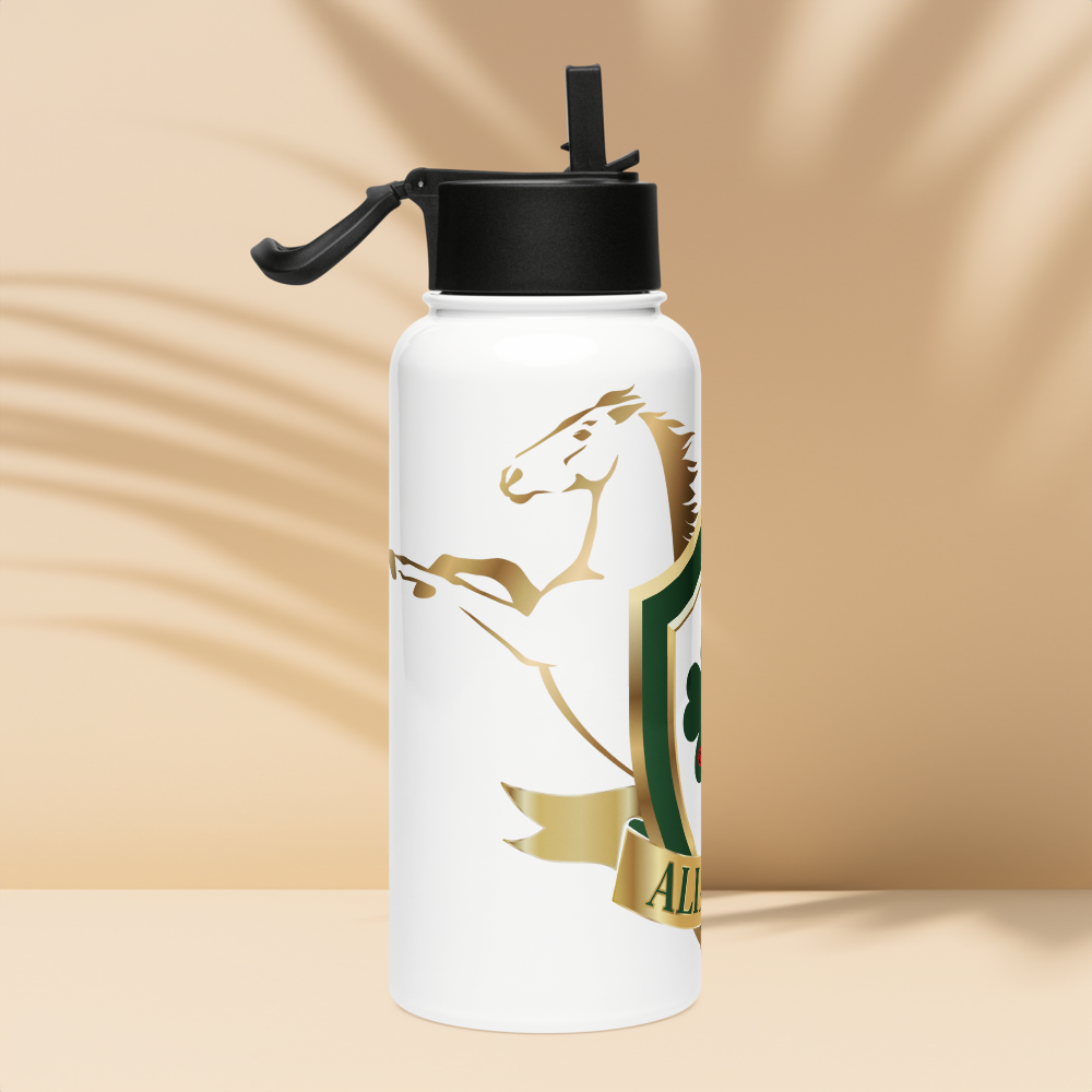 Alianza Stainless steel water bottle with a straw lid Alianza