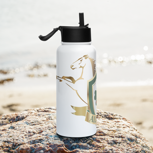 Alianza Stainless steel water bottle with a straw lid Alianza