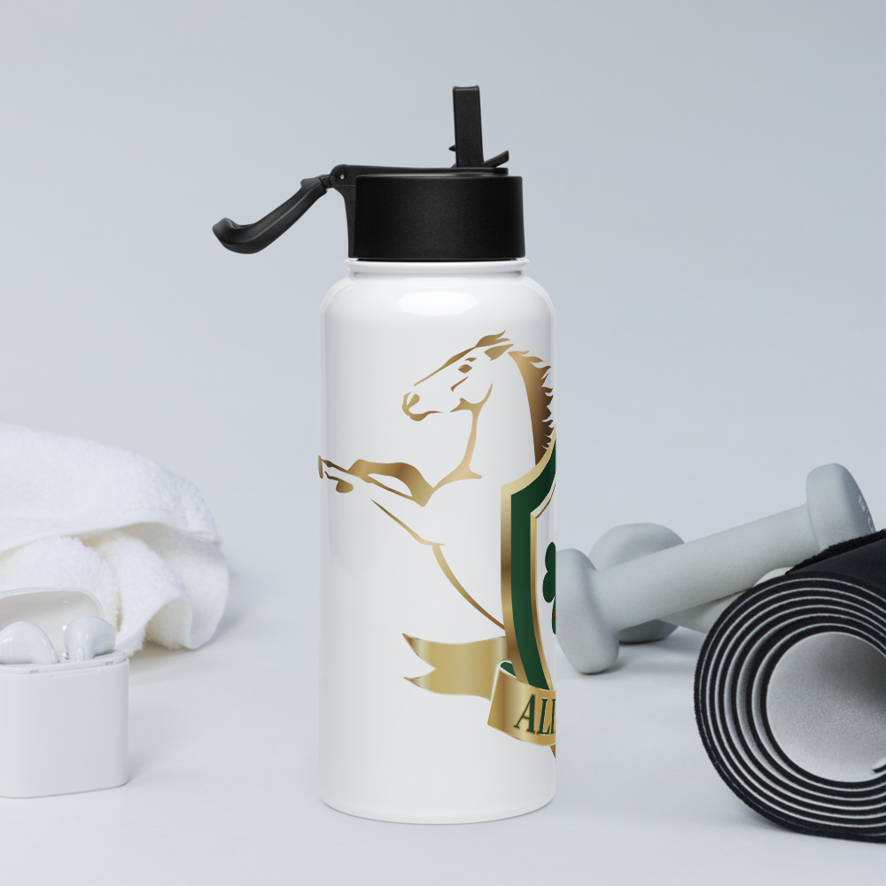 Alianza Stainless steel water bottle with a straw lid Alianza