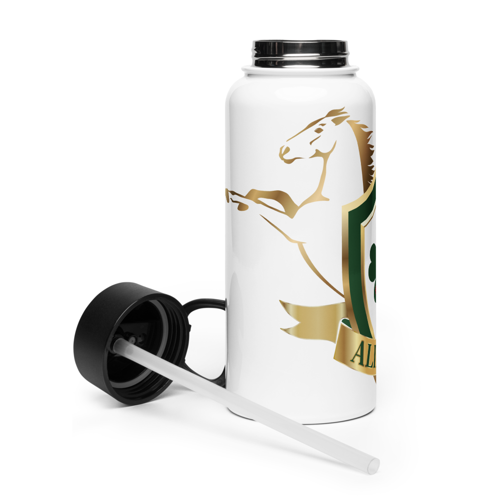 Alianza Stainless steel water bottle with a straw lid Alianza