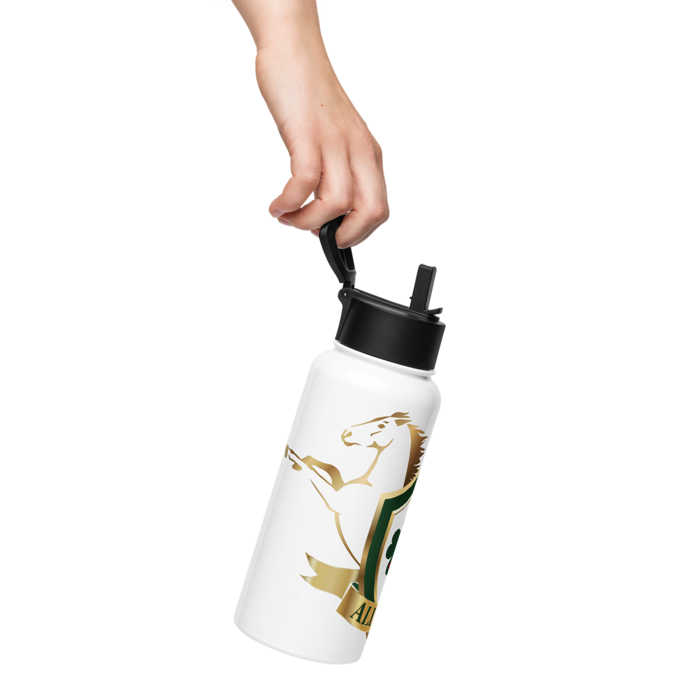 Alianza Stainless steel water bottle with a straw lid Alianza